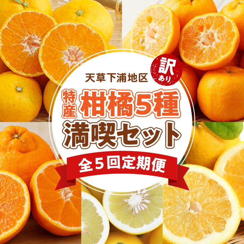 【ふるさと納税】訳あり 定期便 5回 果物 早生温州ミカン 下浦100年ポンカン 不知火 パール柑 あまくさ木成り晩柑 みかん ポンカン 晩柑 フルーツ デザート 柑橘 果汁 産地直送 ご家庭用 常温 天草産 九州 お取り寄せフルーツ 熊本県 天草市 送料無料|熊本県天草市