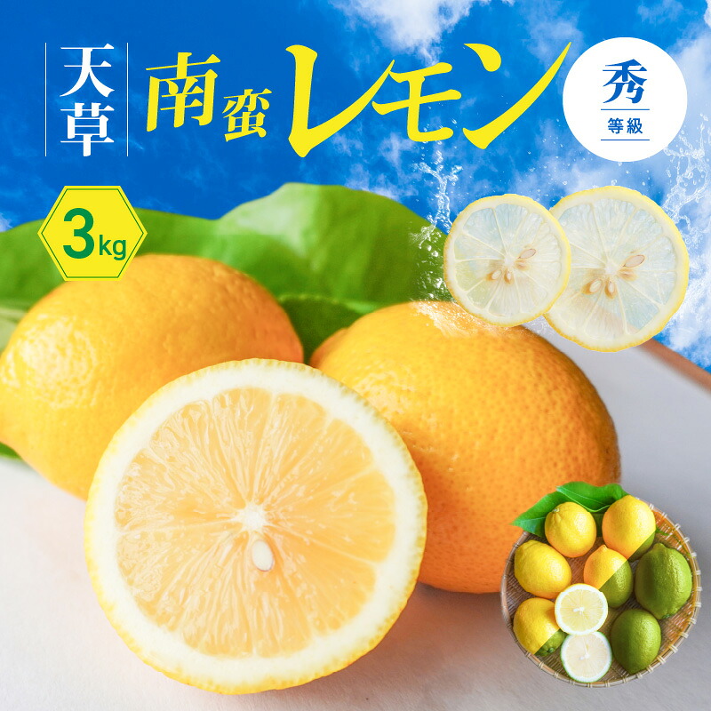 【ふるさと納税】レモン 天草南蛮レモン 等級 秀 3kg フルーツ 露地栽培 お陽さま 光 たっぷり 浴びた 果皮ごと食べられる グリーンレモン 完熟レモン イエローレモン 天草市 下浦町 国産 お取り寄せ 送料無料
