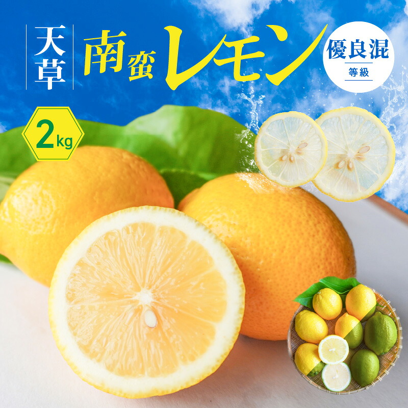 【ふるさと納税】レモン 天草南蛮レモン 等級 優良混 2kg フルーツ 露地栽培 お陽さま 光 たっぷり 浴びた 果皮ごと食べられる グリーンレモン 完熟レモン イエローレモン 天草市 下浦町 国産 お取り寄せ 送料無料