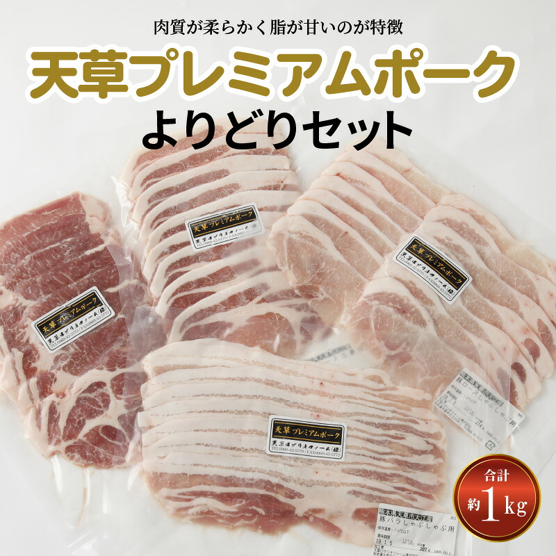 【ふるさと納税】豚肉 セット 約 1kg 豚ロース バラ 肩ロース しゃぶしゃぶ 生姜焼き 産地直送 国産 オリジナルブランド豚 プレミアムポーク 天草市 熊本県 柔らか あっさり 食品 お取り寄せ お取り寄せグルメ 送料無料