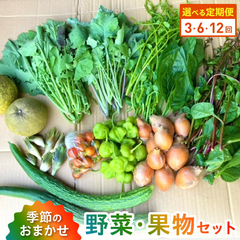 【ふるさと納税】定期便 野菜 果物 セット 旬 詰合せ 8 ～ 10品 おまかせ 選べる 回数 3回 6回 12回 採れたて 晩柑 温州ミカン ビワ スモモ レモン いちじく 甘柿 自然栽培 露地栽培 栽培期間中農薬不使用 常温 冷蔵 天草産 九州 産地直送 お取り寄せ 熊本県 天草市 送料無料