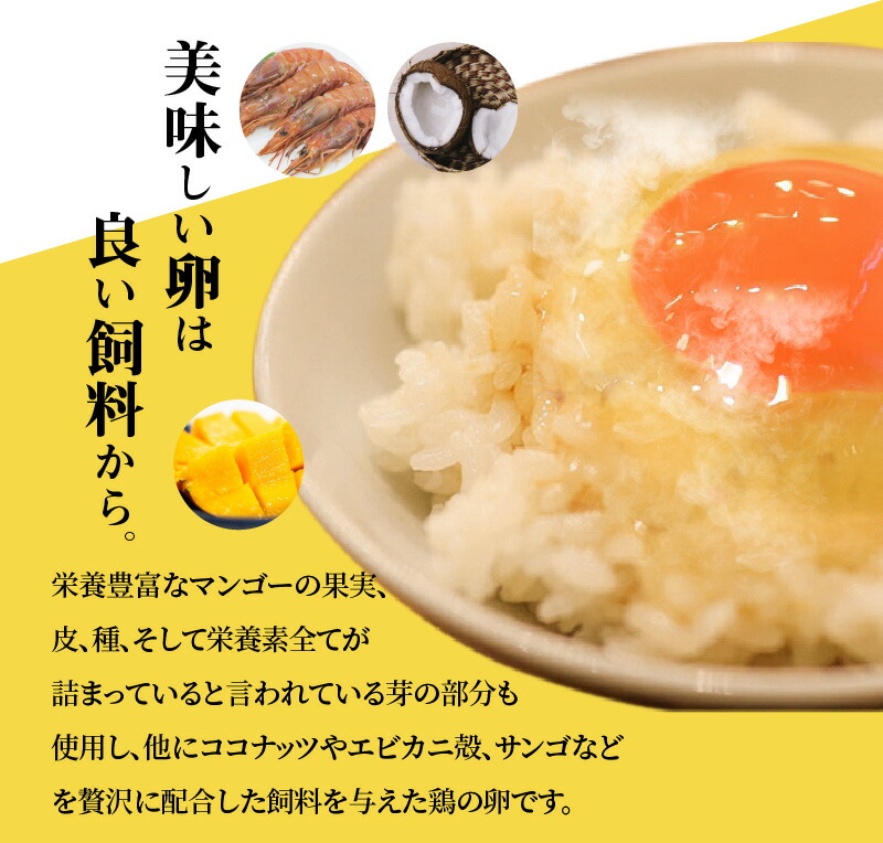 ふるさと納税】【TVで紹介されました】 タマンゴ たまご 6個 入り コク