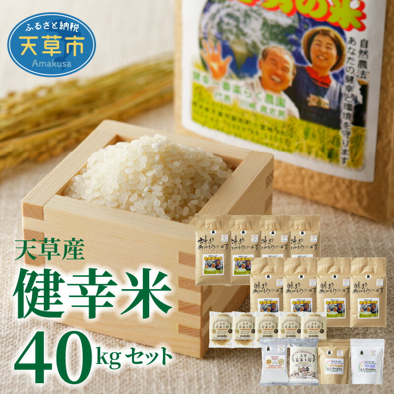 【ふるさと納税】 令和7年産 健幸米 セット 精米 5kg × 4袋 玄米 5kg×4袋 コシヒカリ 焙煎玄米めん 玄米麺 グルテンフリー 玄米ポンせん 赤米 黒米 玄米 スティック 焙煎米粉 焙煎玄米粉 特別栽培米 単一原料米 熊本県 天草 送料無料
