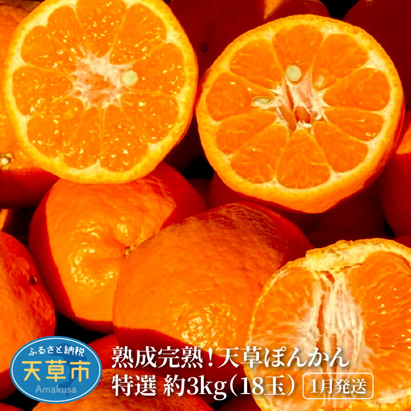 【ふるさと納税】数量限定 先行受付 ぽんかん 特選 3kg 18玉 大玉 熟成 完熟 フルーツ 天草産 柑橘 手摘み 果物 ジューシー 高しょう系 男気ポンカン 鮮度 食味 香り 2026年1月配送 常温 天草産 熊本県 九州 お取り寄せフルーツ 産地直送 送料無料｜熊本県天草市