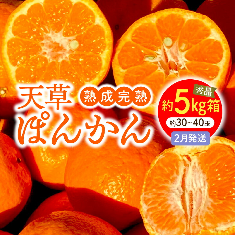 楽天市場】【ふるさと納税】先行予約 天草ポンカン 約 7.5kg