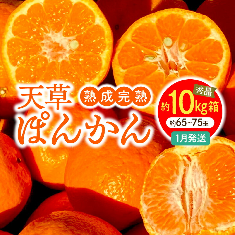 楽天市場】【ふるさと納税】先行予約 天草ポンカン 約 7.5kg