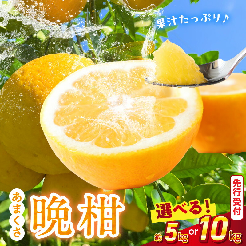 天草産ポンカン 家庭用 箱込15kg