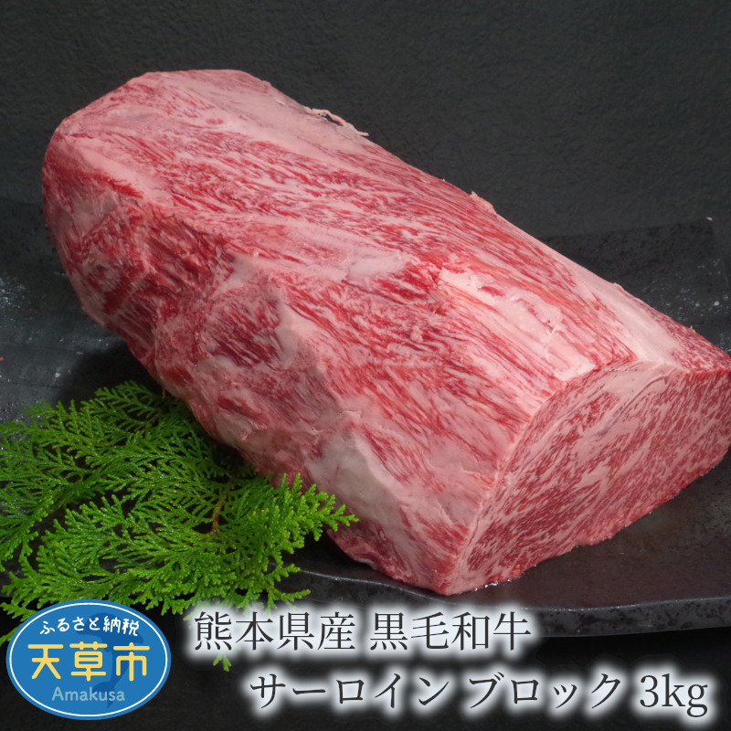 【ふるさと納税】【着日指定】ミシュラン ビブグルマン 獲得 天草産 黒毛和牛 サーロイン ブロック 3kg とろける 食感 霜降り 旨味 天草黒牛 黒牛 肉 牛肉 肉質等級 A4 ～ A5 熊本県 自社牧場 産地直送 田中畜産 ステーキ 焼き肉 天草 お取り寄せ グルメ 天草市 送料無料