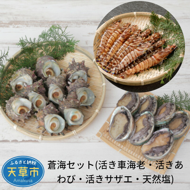 ふるさと納税 蒼海書割り 活き車海老 活きあわび 活きサザエ 生れ付き食塩 Marchesoni Com Br