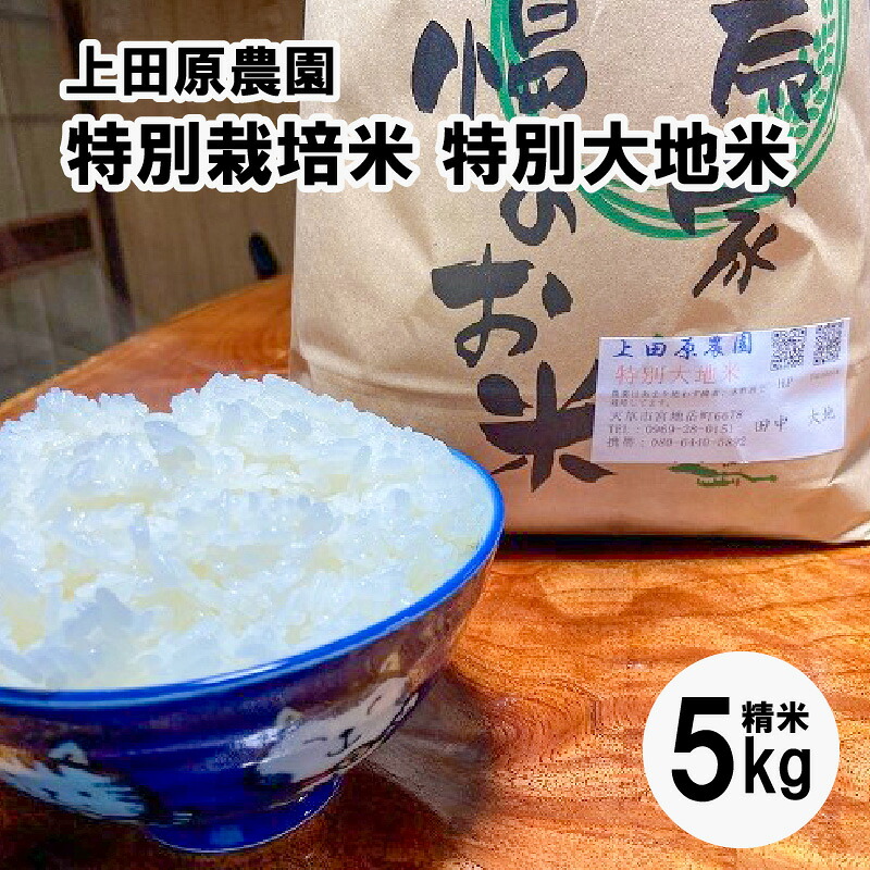 【ふるさと納税】【先行受付】令和8年産 5kg コシヒカリ ヒノヒカリ 特別栽培米 特別大地米 精米 白米 ごはん おにぎり 米作り 熊本県 天草 お取り寄せ 食品 九州 故郷の味 常温 送料無料|熊本県天草市