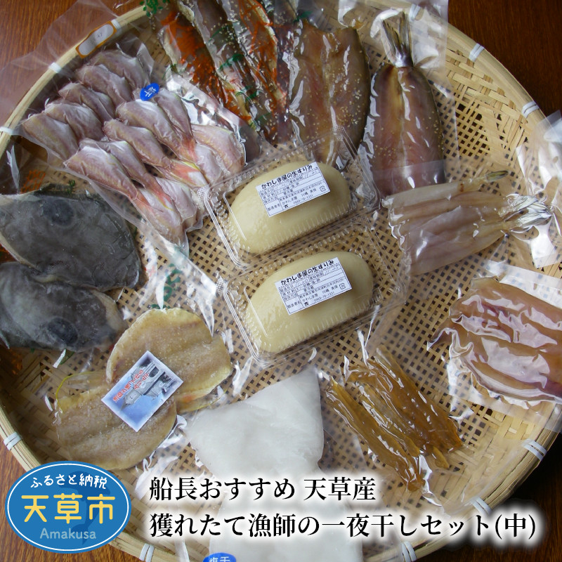 楽天市場】【ふるさと納税】鮮魚 セット 海の幸 旬 魚 詰合せ 海水シャーベット 定置網 獲れたて 指定日 可 : 熊本県天草市