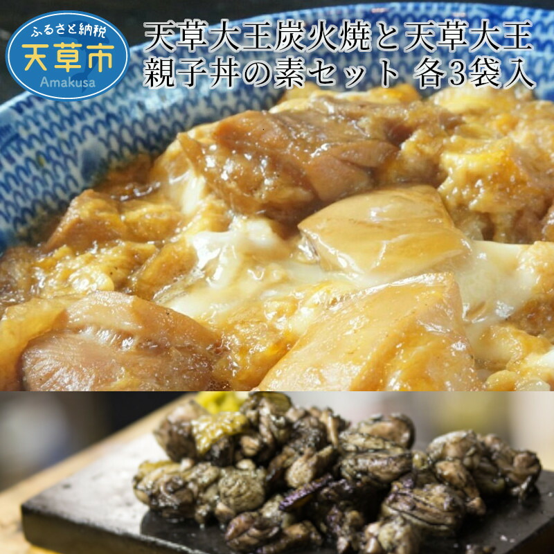 人気の贈り物が ふるさと納税 天草市 天草大王 BBQセット_S081-018