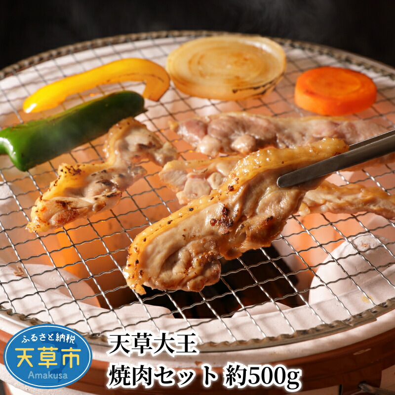 【ふるさと納税】肉 鶏 鶏肉 焼肉 セット 約 500g モモ肉 むね肉 国産 日本最大級の地鶏 幻の地鶏 天草大王 食品 熊本 天草 歯ごたえ うま味 香り 筋肉質 お取り寄せ お取り寄せグルメ 真空パック 冷凍 送料無料｜熊本県天草市