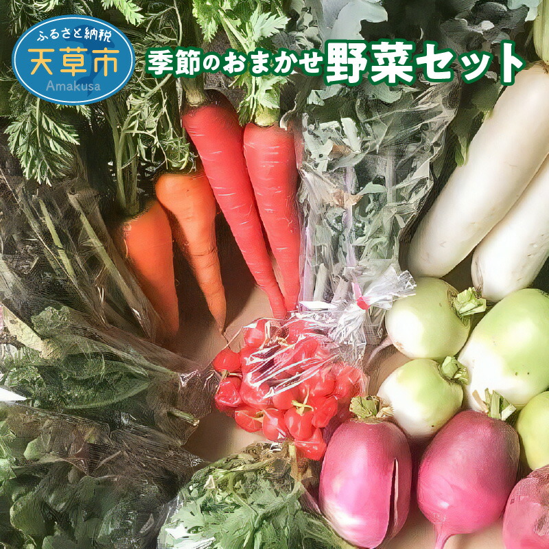 【ふるさと納税】野菜 セット 旬 詰合せ 8～10品 おまかせ 4人用 採れたて 自然栽培 季節 うま味 露地栽培 栽培期間中 農薬不使用 安心 お楽しみ 冷蔵 天草産 熊本県 九州 産地直送 お取り寄せグルメ 送料無料