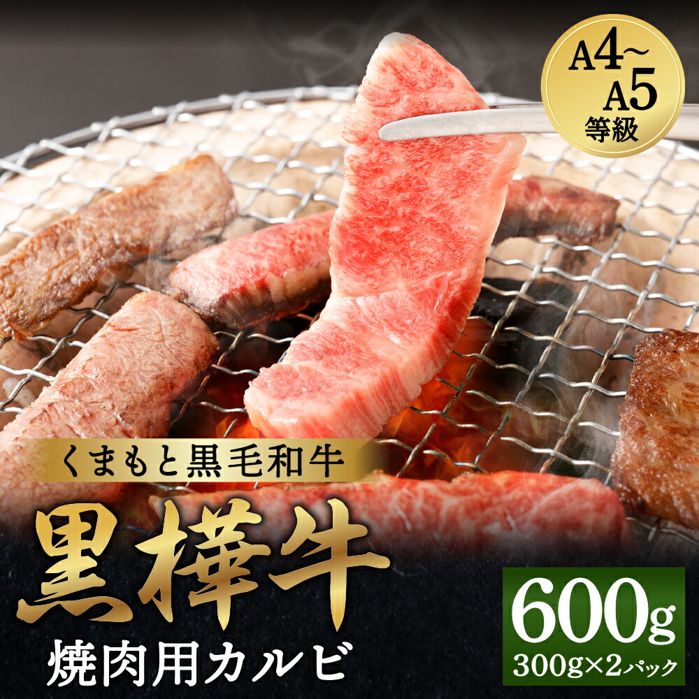 A5ランク くまもと黒毛和牛 焼肉 お取り寄せ 黒毛和牛 バーベキュー 冷凍 500g×6回 国産 熊本県産 牛肉 送料無料 お肉 九州産 BBQ  合計3kg 国産牛