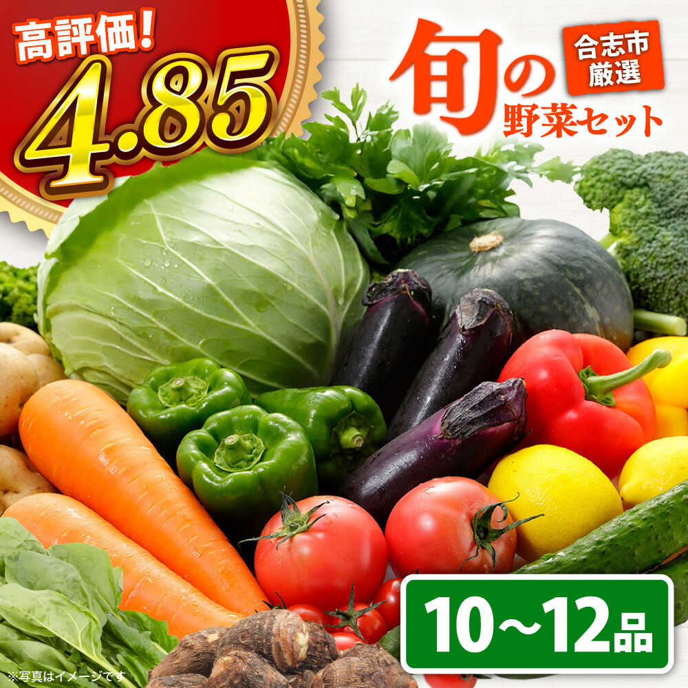 【ふるさと納税】合志の旬のお野菜セット 10～12品【一般社団法人クラッシーノこうし】[AYAB008]