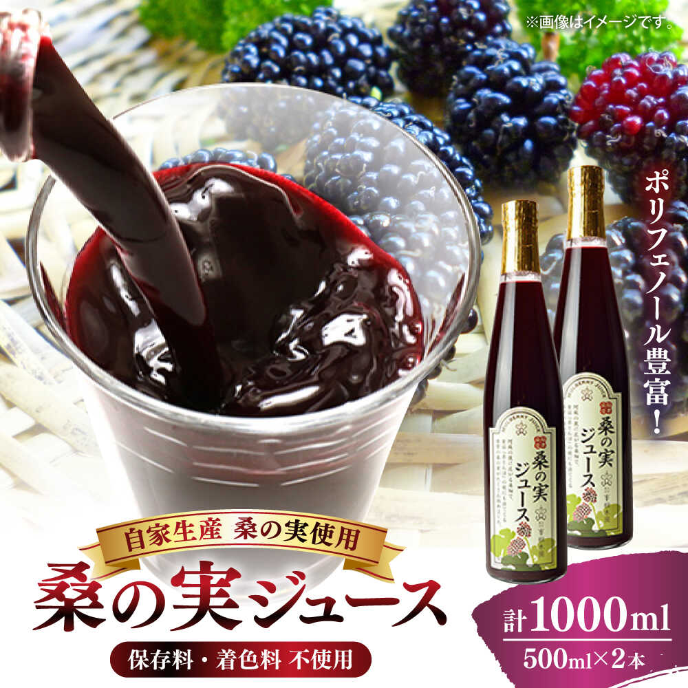 【ふるさと納税】峯樹木園 桑の実ジュース 500ml&times;2本セット【一般社団法人クラッシーノこうし】[AYAB019] ジャム パン ジュース セット 朝食 桑 桑の実 炭酸水 や お酒 でおいしく｜熊本県合志市