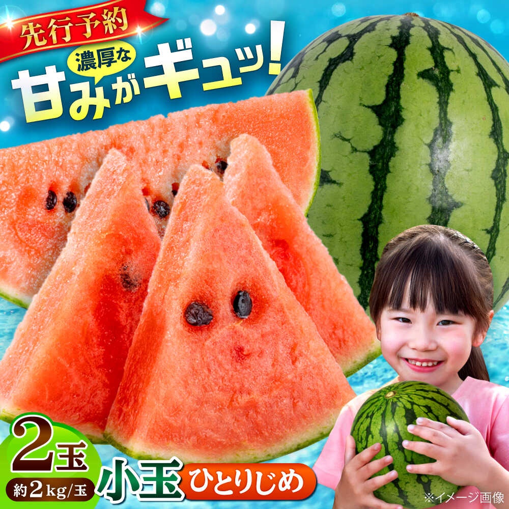 【ふるさと納税】【2026年発送分 先行予約】【数量限定】小玉 すいか 2玉 ひとりじめ 計4kg 【合同会社 福福堂】[AYAC046] スイカ 西瓜 人気 評判 産地 高級 種類 甘さ 大玉 小玉 レビュー 比較 フレッシュ 国産 熊本県産 合志市 果物 くだもの フルーツ 人気 特産 ブランド