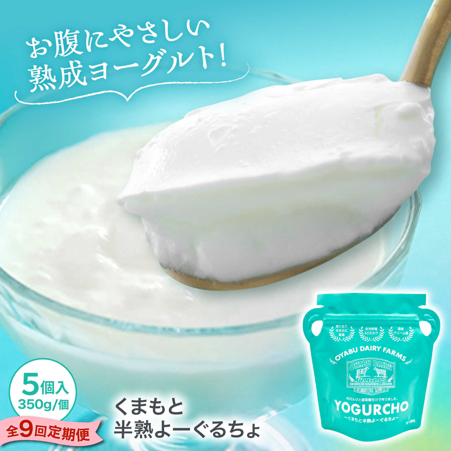 【ふるさと納税】【全9回定期便】オオヤブデイリーファーム くまもと半熟よーぐるちょ 350g&times;5個【株式会社 オオヤブデイリーファーム】 ヨーグルト ノンホモジナイズ ノンホモ てんさい糖 贈答 ギフト プレゼント[AYAE021]｜熊本県合志市