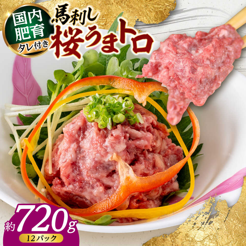 【ふるさと納税】馬刺し 桜うまトロ ( ネギトロ ) 合計 約720g 国内肥育 馬刺し タレ付き 馬肉 小分け 丼ぶり 寿司 サラダ 冷凍 国内肥育 馬刺し タレ付き 馬肉 小分け 丼ぶり 寿司 サラダ 冷凍【株式会社 千興ファーム】[AYAF030]