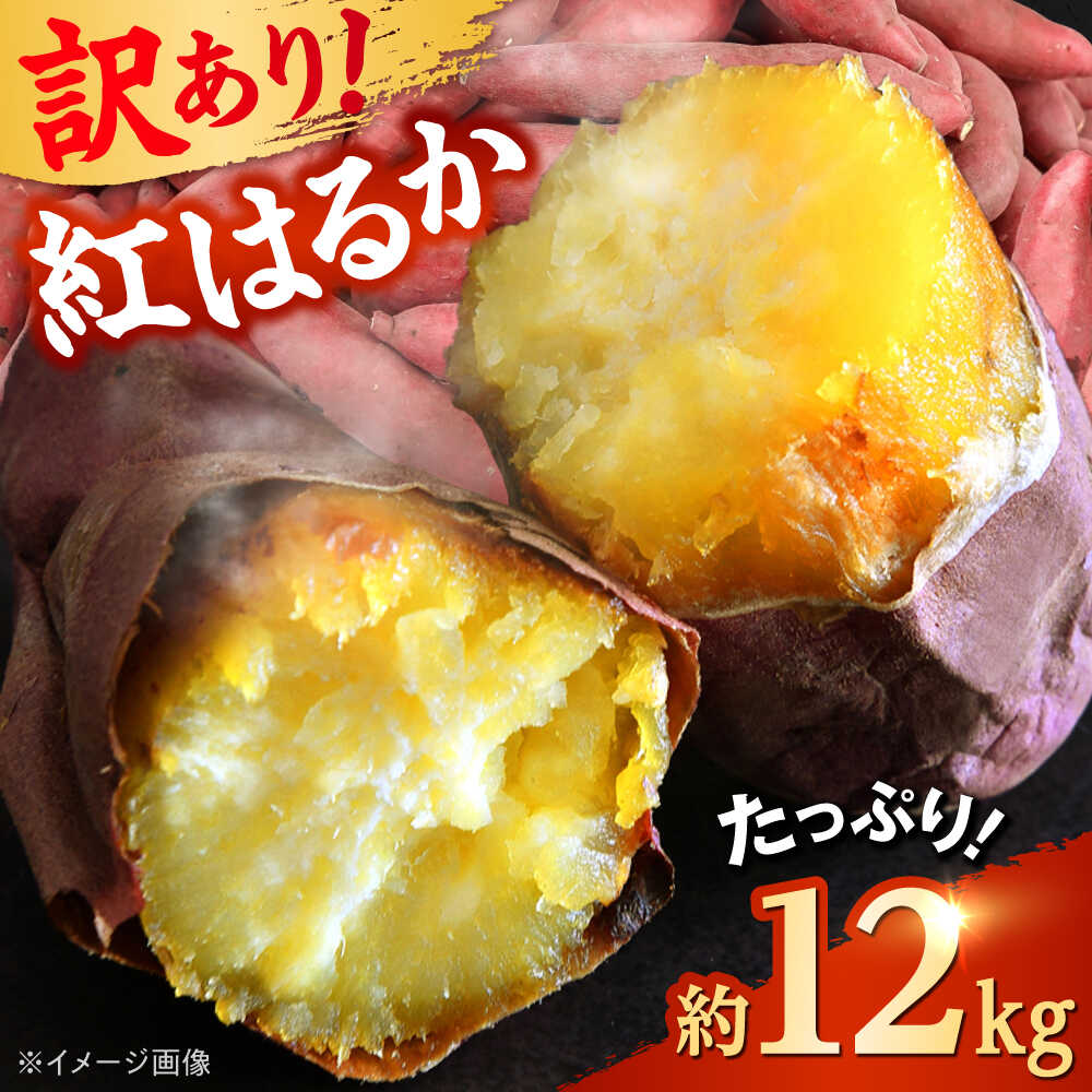 【ふるさと納税】【先行予約】 【訳あり】 【数量限定】 紅はるか さつまいも 約12kg 1箱【Shiro Planning 株式会社】[AYAJ001]