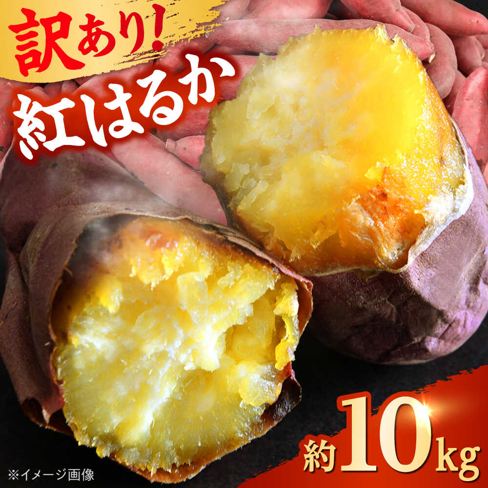 【ふるさと納税】 【先行予約】 【訳あり】 【数量限定】 紅はるか さつまいも 約10kg 1箱 【Shiro Planning 株式会社】[AYAJ005]