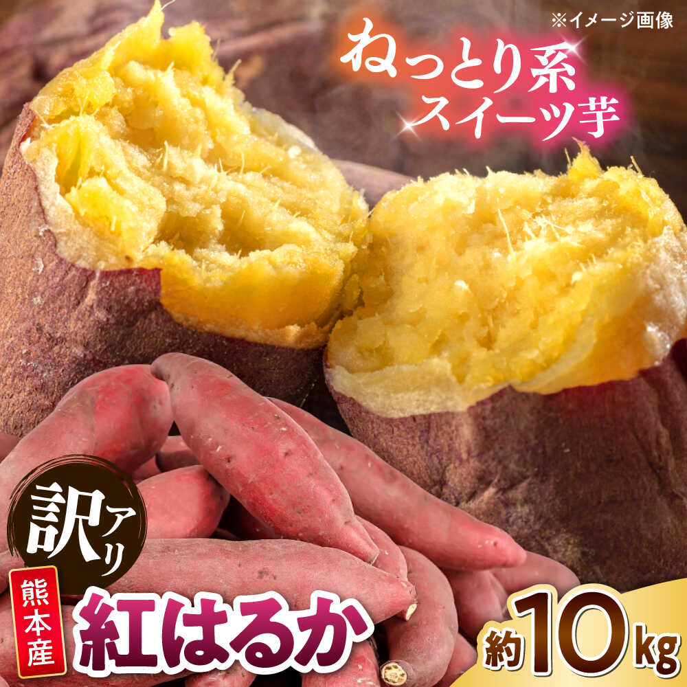 【ふるさと納税】【訳あり】 紅はるか 約10kg 2S～3Lサイズ混合 【株式会社 Foody’s】[AYAT003]