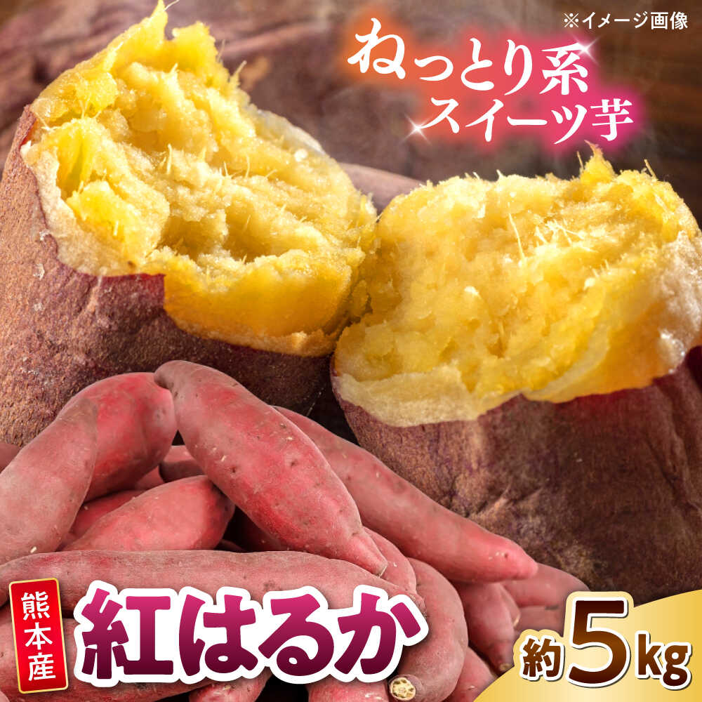 【ふるさと納税】紅はるか 秀品 約5kg S～2Lサイズ混合 【株式会社 Foody’s】[AYAT004]
