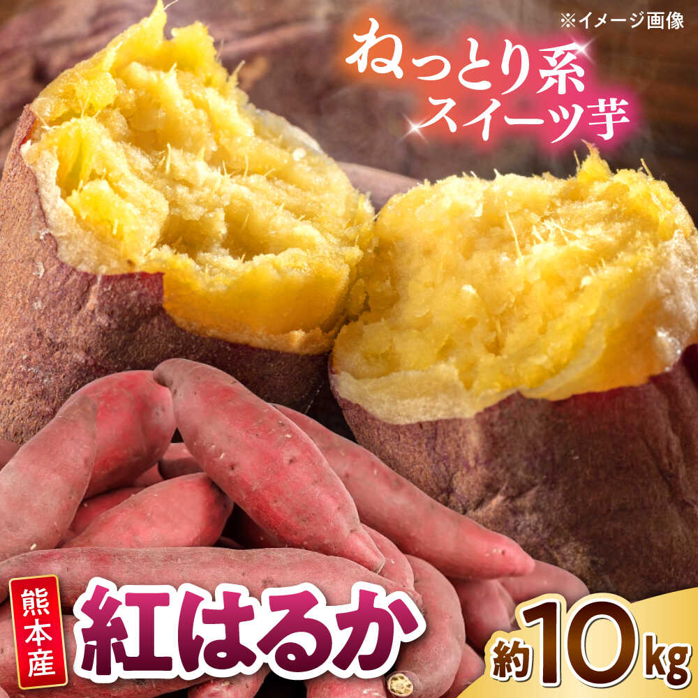 【ふるさと納税】紅はるか 秀品 約10kg S～2Lサイズ混合　【株式会社 Foody’s】　[AYAT005]