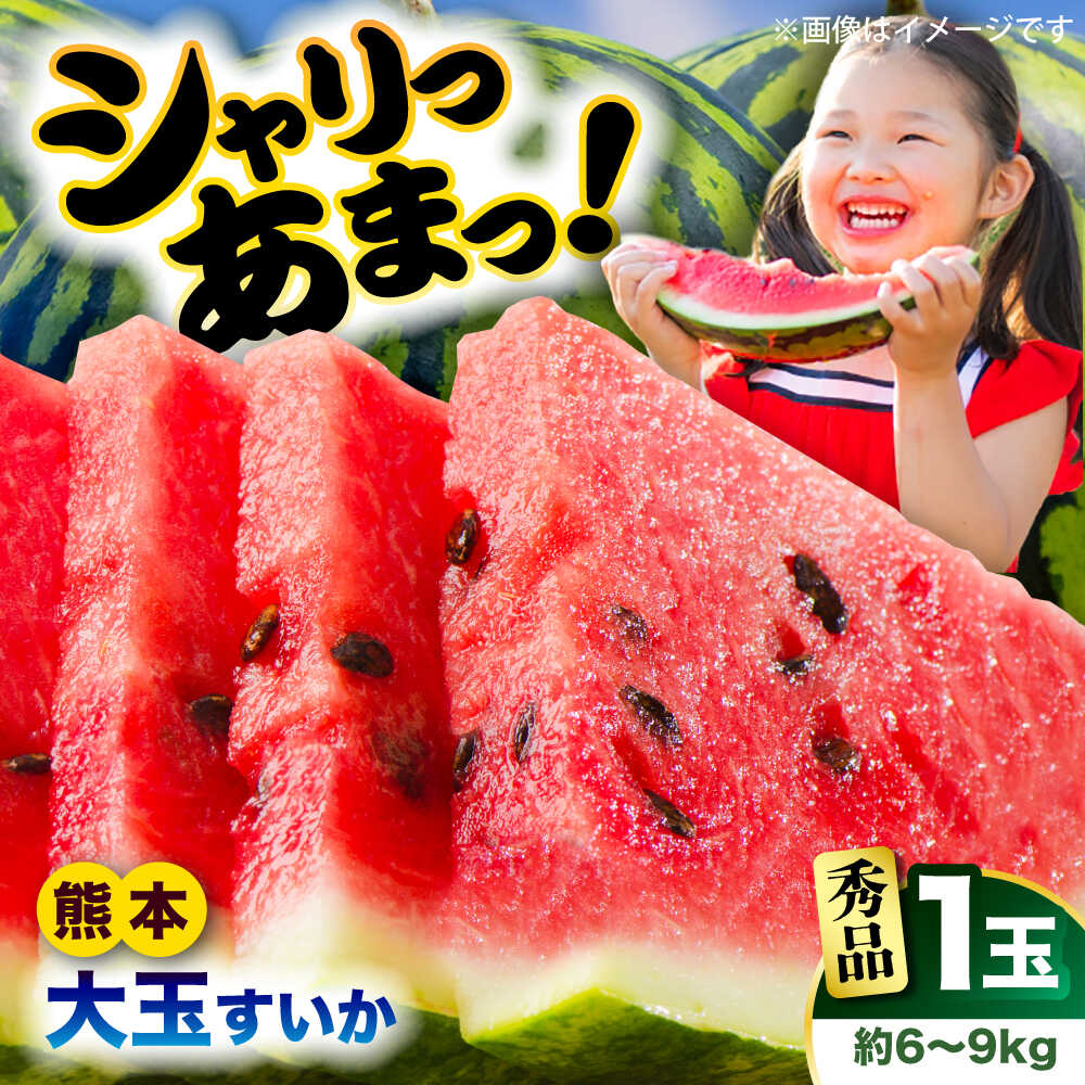 【ふるさと納税】【先行予約】　大玉すいか 秀品 1玉 約6kg～9kg 【株式会社 Foody’s】[AYAT006]