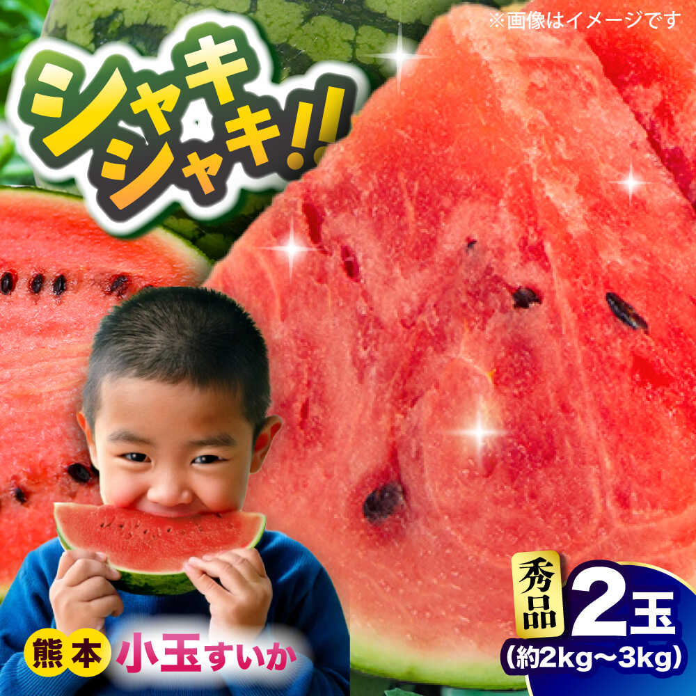【ふるさと納税】【先行予約】小玉すいか 秀品 2玉 約2kg～3kg【株式会社 Foody’s】[AYAT008]