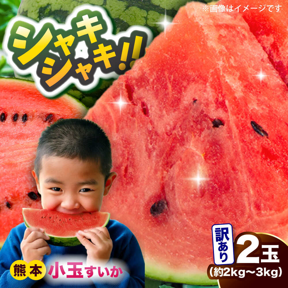 【ふるさと納税】【先行予約】訳あり 小玉すいか 2玉 約2kg～3kg　【株式会社 Foody’s】[AYAT009]