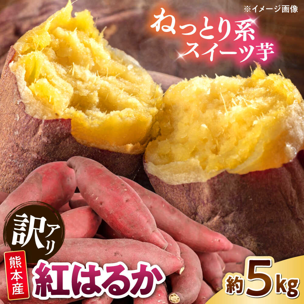【ふるさと納税】【訳あり】紅はるか 約5kg 2S～3Lサイズ混合 【株式会社 Foody’s】[AYAT010]