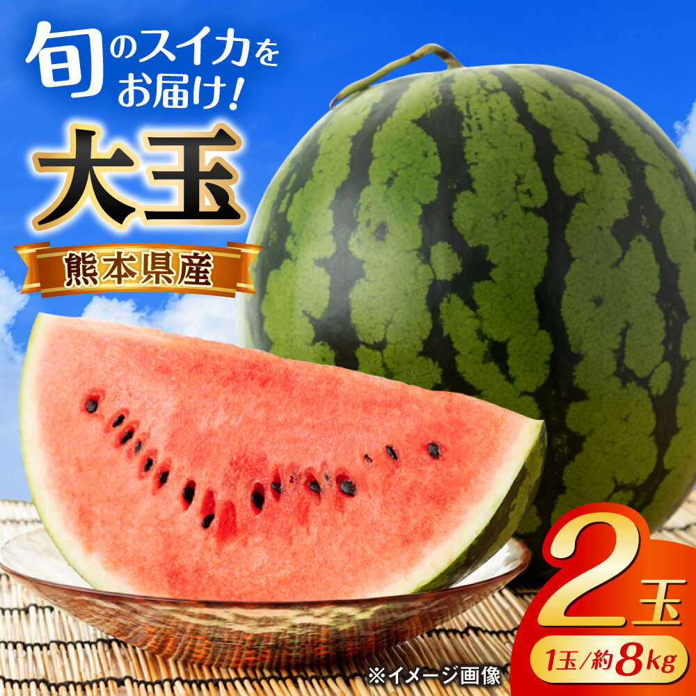 【ふるさと納税】【先行予約】【数量限定】大玉 西瓜 2玉入り (1玉約8kg以上×2玉)【株式会社 GGYパッケージ】[AYAU002]