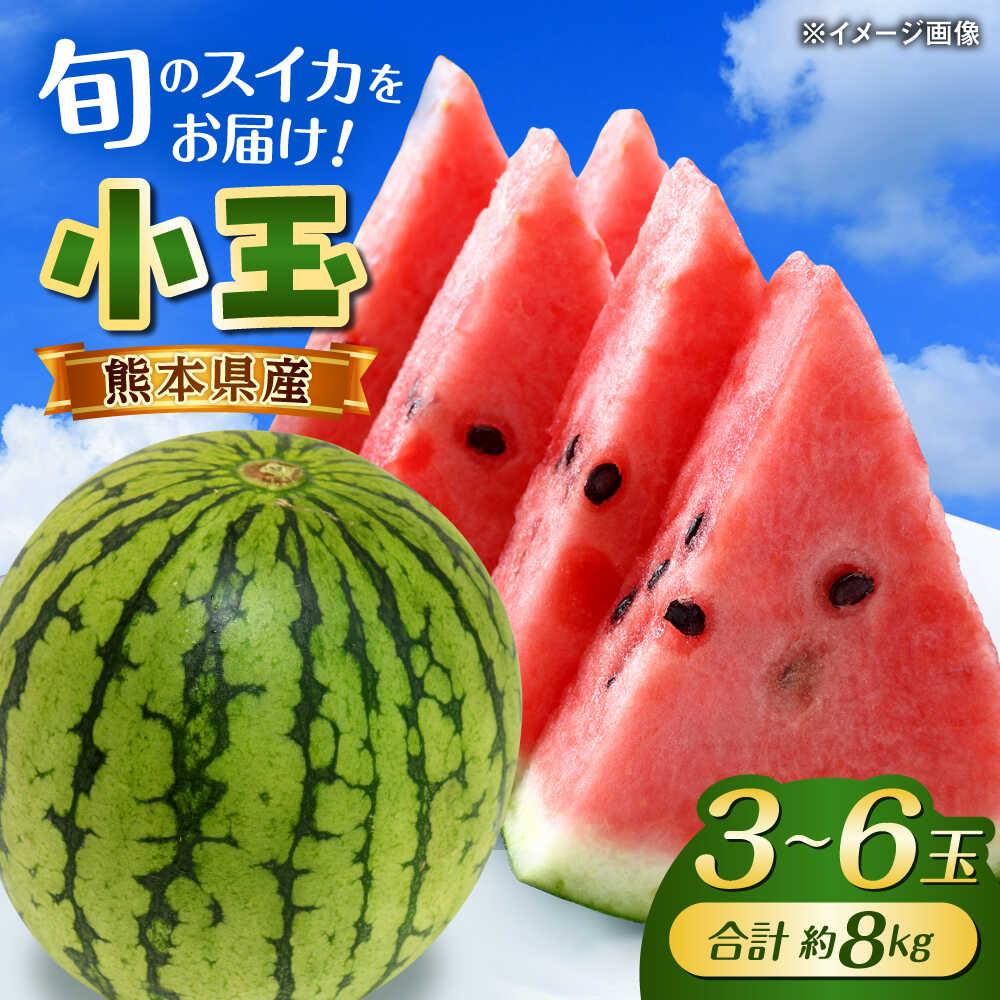 【ふるさと納税】【先行予約】【数量限定】こだま西瓜 1箱約8kg (3L～M 3～6玉入り)【株式会社 GGYパッケージ】[AYAU003]