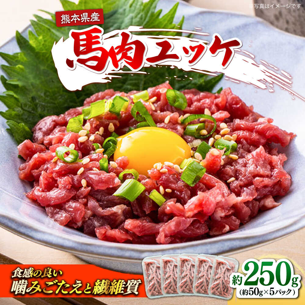 【ふるさと納税】馬肉ユッケ　計約250g　約50g&times;5パック 小分け　【株式会社 肉の山本】[AYBK003] 熊本県 熊本 くまもと 馬刺し 馬肉 ユッケ ゆっけ 馬 国内肥育 小分け おつまみ 冷凍 配送無料 ジビエ 低カロリー ヘルシー 生肉｜熊本県合志市
