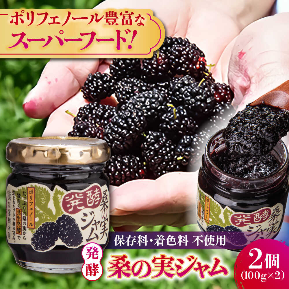 【ふるさと納税】発酵桑の実 ジャム 2個セット（100g×2） 【株式会社 峯樹木園】 合志市 熊本県 ジャム じゃむ 手造り 果肉 桑の実 朝食 朝ごはん ヨーグルト トースト お菓子 菓子 お菓子作り セット 贈り物 プレゼント ギフト [AYBM011]