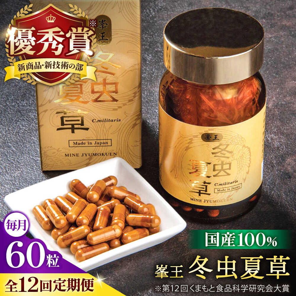 高価しっぺい返し品特集【献ずる額10万円以上】