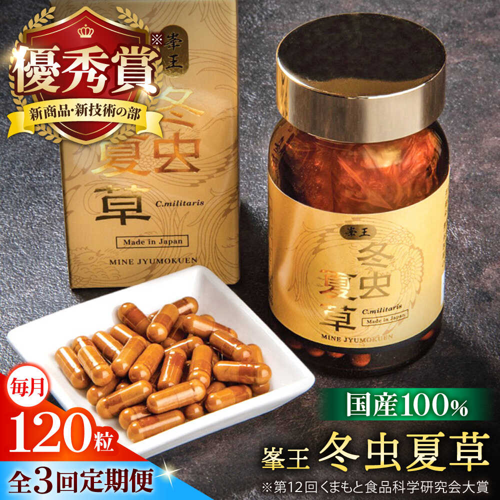 高価しっぺい返し品特集【献ずる額10万円以上】