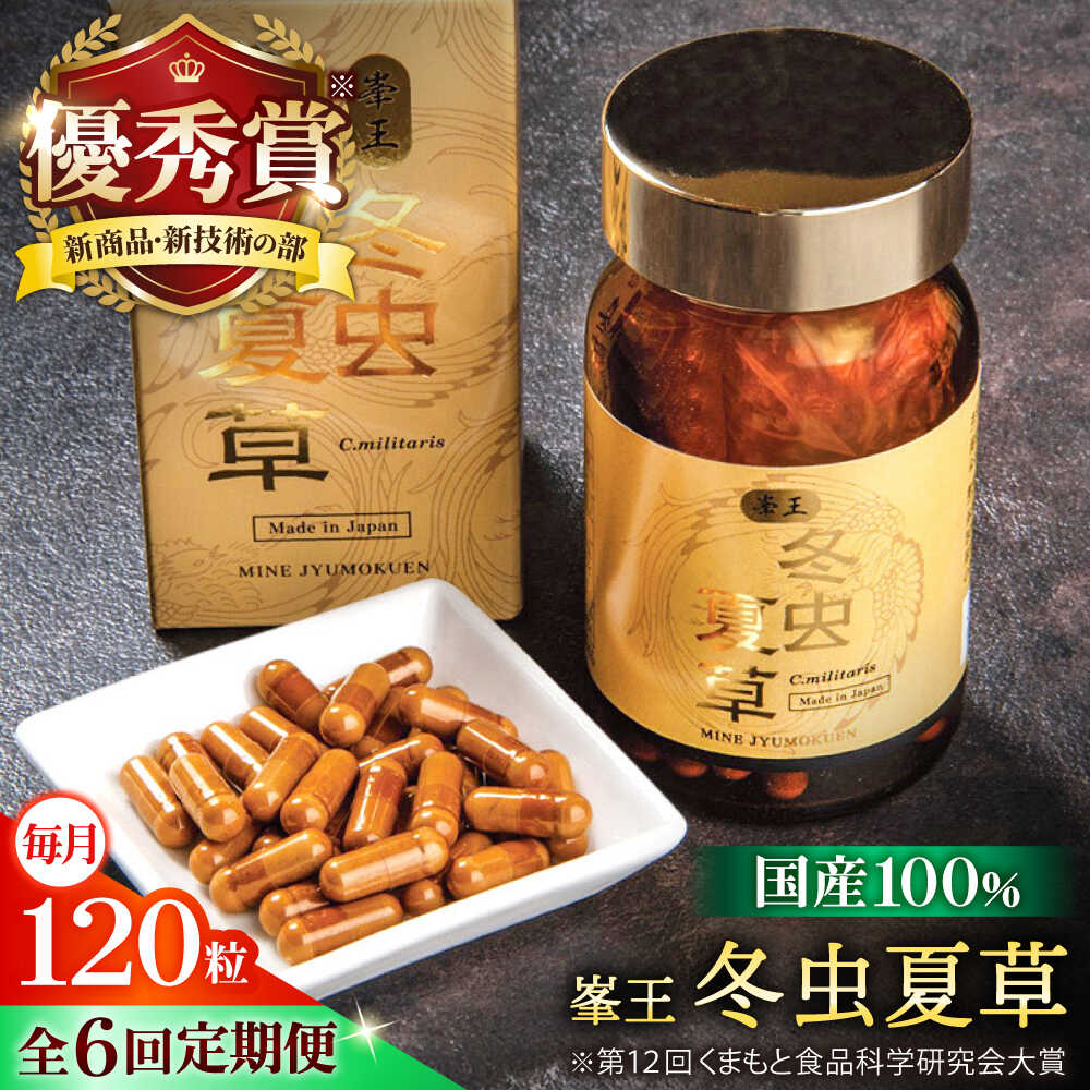 高価しっぺい返し品特集【献ずる額10万円以上】