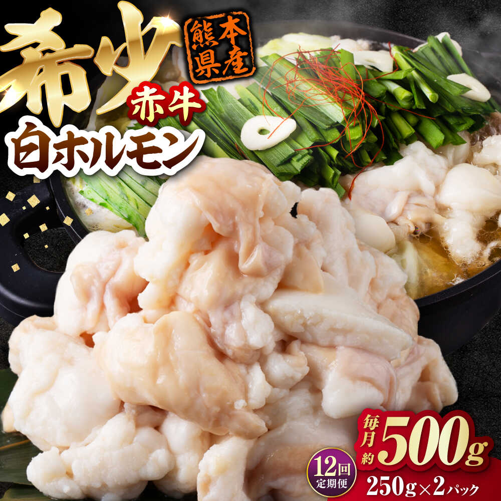 【ふるさと納税】【全12回定期便】 赤牛 ホルモン 500g（250g×2パック） / お肉 肉 牛肉 あか牛 小腸 シロホルモン もつ 熊本県産 冷凍【五右衛門フーズ熊本店】[AYBV039]