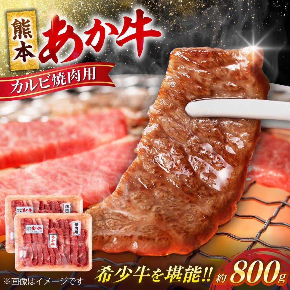 【ふるさと納税】 熊本 赤牛 カルビ 焼肉用 約800g【合同会社 たべたせいか】[AYCB032] あか牛 和牛 牛肉 牛 肉 焼き肉 バーベキュー カット ヘルシー 冷凍 国産 熊本県
