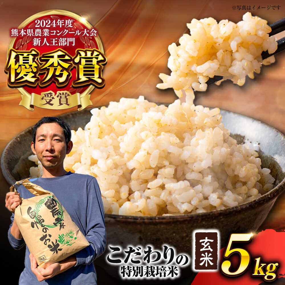 【ふるさと納税】【先行予約】 【令和7年度】 くまさんの輝き 玄米 5kg (1袋) （2025年10月下旬ごろ順次発送） 【坂本農園】[AYCC020]