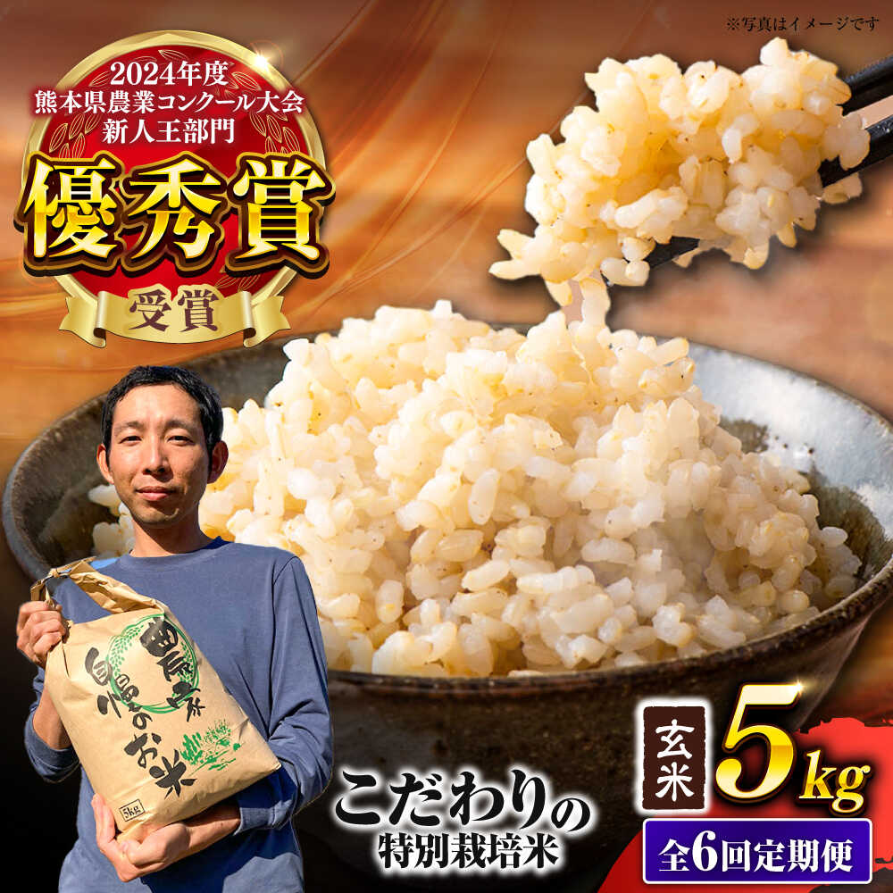 【ふるさと納税】【先行予約】 【令和7年度】 【全6回定期便】 くまさんの輝き 玄米 5kg 計30kg（2025年10月下旬ごろ順次発送）【坂本農園】[AYCC026]