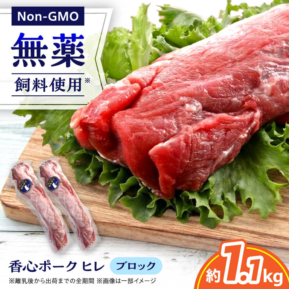 【ふるさと納税】『香心ポーク』ヒレ ブロック 2本（約1.1kg）豚肉 冷凍 熊本県産 【有限会社 コーシン】 豚肉 豚 ポーク ヒレ肉 フィレ 熊本 熊本県 九州 冷凍 ブロック 肉 にく ヘルシー とんかつ カツ 揚げ物 料理 [AYCK015]