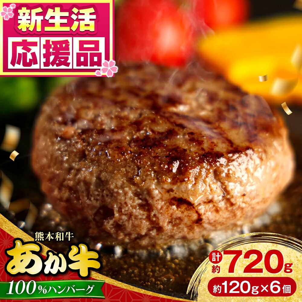 【ふるさと納税】熊本 和牛 あか牛 100％ ハンバーグ 約120g×6個 冷凍 個包装 タレ付き 熊本 赤牛 褐牛 あかうし 褐毛和種 和牛 肥後 冷凍 国産 牛肉 ハンバーグ 惣菜 夕飯【有限会社 三協畜産】[AYCQ001]