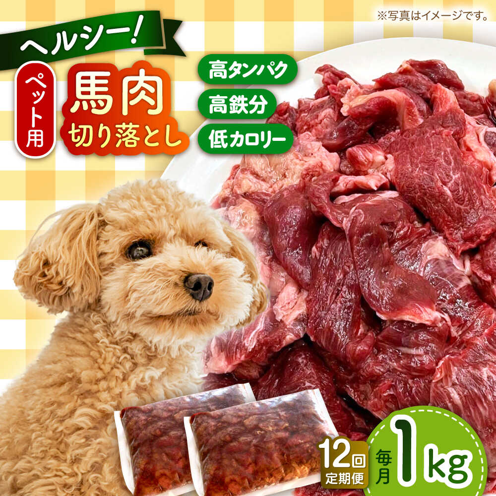 【ふるさと納税】【全12回定期便】国内加工 ペット用 馬肉 切り落とし 1kg 犬 わんちゃん 肉 馬肉 ドッグフード ペットフード タンパク質 鉄分 ヘルシー 熊本 生馬肉 生肉 小型犬 大型犬 ペット用 切り落とし 冷凍 【五右衛門フーズ 本店】[AYCT007]｜熊本県合志市