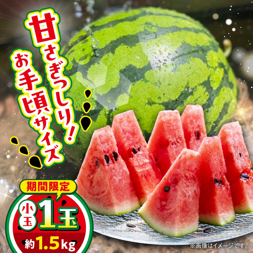 【ふるさと納税】【数量限定】小玉すいか　1玉入り　約1.5kg【日本フルーツ株式会社】[AYDA001]