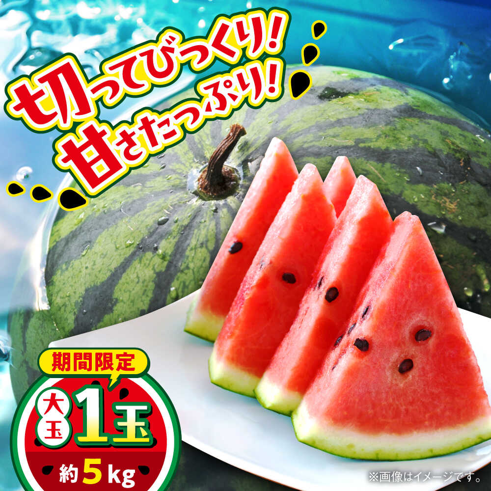 【ふるさと納税】【数量限定】大玉すいか　1玉入り　約5kg【日本フルーツ株式会社】[AYDA003]