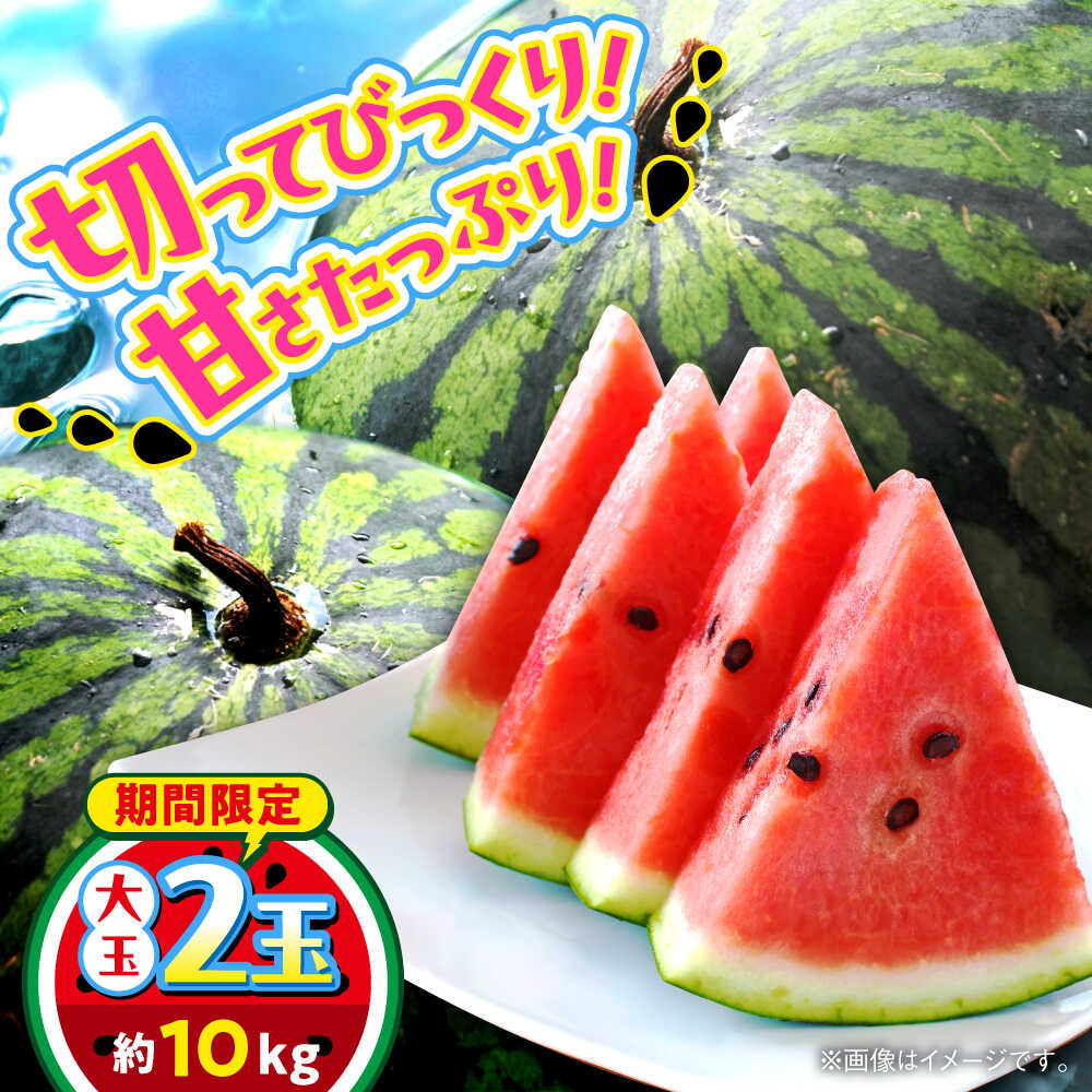 【ふるさと納税】【数量限定】大玉すいか　2玉入り　約10kg【日本フルーツ株式会社】[AYDA004]
